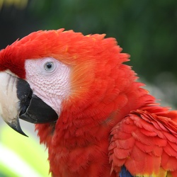 2010-03 Costa-Rica