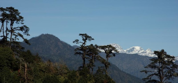col de dochula bhoutan