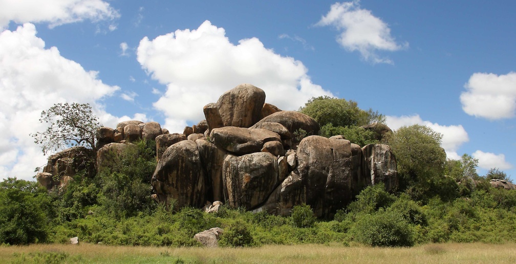 Serengeti : kopje