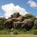 Serengeti : kopje