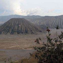2012-12 Java-Bali
