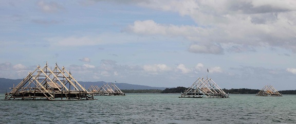 Ujung Kulon - installation de pêche traditionnelle