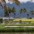 Sumatra - Lac Maninjau