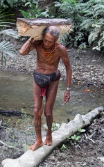 Mentawai : le sagou pour les poules et les cochons