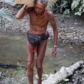 Mentawai : le sagou pour les poules et les cochons