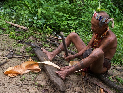 Mentawai : préparation du matériau pour le pagne