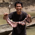 Mentawai : nettoyage des intestins dans la rivière
