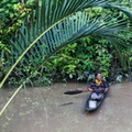 Mentawai : l'eau de la rivière est remontée. nous repartons en barque
