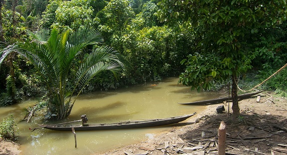 Mentawai : l'eau de la rivière est remontée. les 'ponpons' sont au pied de la maison