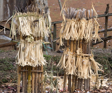 tribu apatani de Ziro : rituels devant la maison