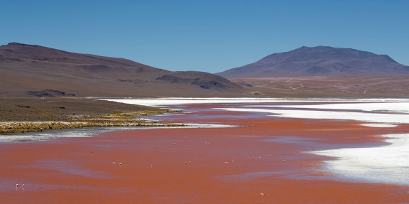 Bolivie - laguna colorada - rouge de l'après-midi