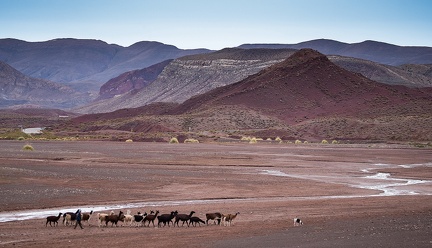 Bolivie - environs Uyuni