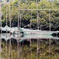 lac Sentarum - filets de pêche