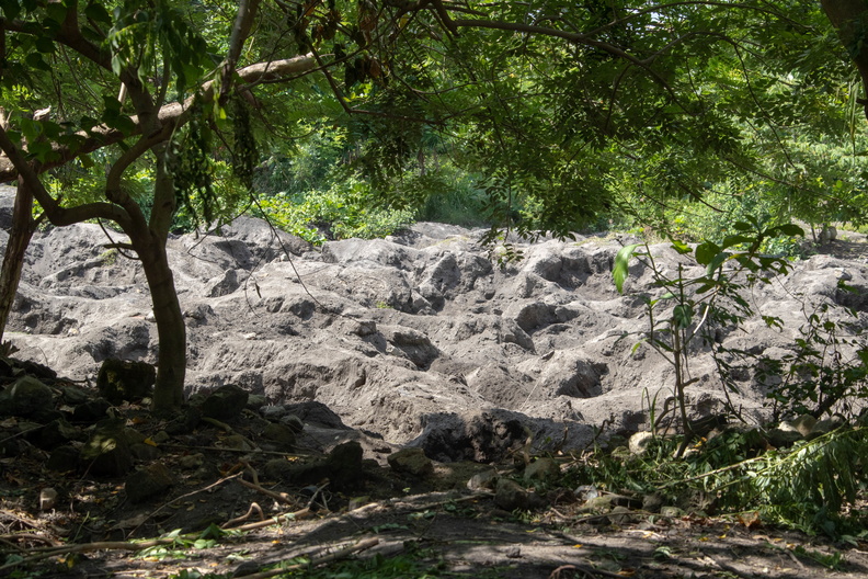 Nouvelle Bretagne - Rabaul : collecte des oeufs au pied du volcan