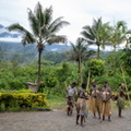 Bougainville : chez les Uppe