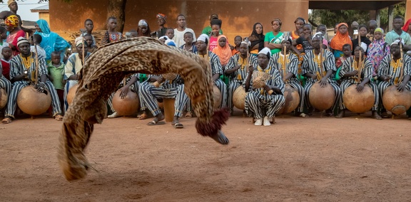 Korhogo : cérémonie  du boloy (ou danse de la panthère) des Sénoufo