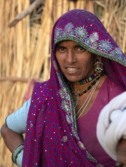 tribu rabari : peuple nomade