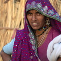 tribu rabari : peuple nomade