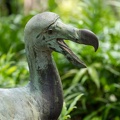 statue de dodo à l'ile aux aigrettes
