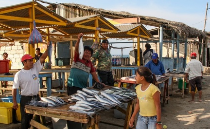 marché aux poissons : Salinas