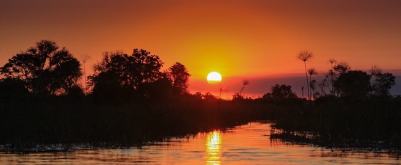 coucher de soleil dans l'okavango