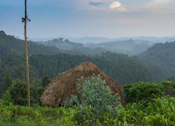 rwanda : pays des mille collines