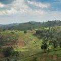 rwanda : pays des mille collines