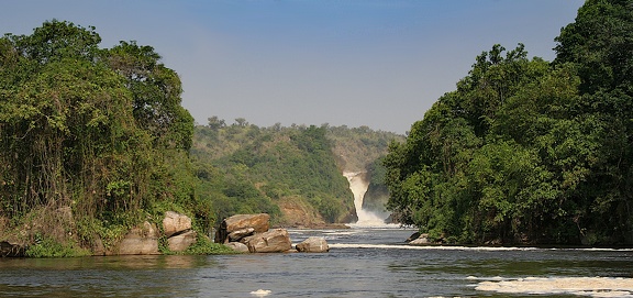 ouganda : parc Murchison - chutes Kabarega 