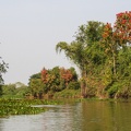 rio paraguay