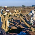 Soudan : puits près de naga (latitude 6ème cataracte)