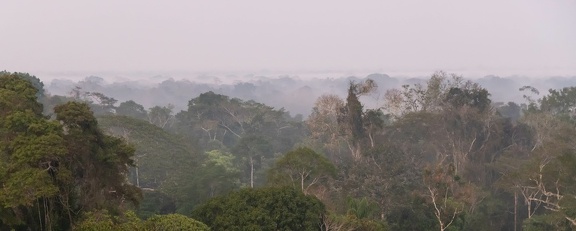 vue de la tour de la posada  Amazonas