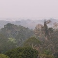 vue de la tour de la posada  Amazonas