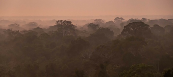 vue de la tour de la posada Amazonas au lever du soleil