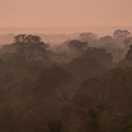 vue de la tour de la posada Amazonas au lever du soleil