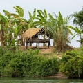 sur le Mékong : région des 4000 îles (Si Phan Done)