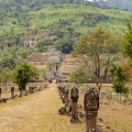 Vat Phou