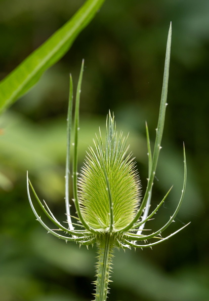 2J8A9644.jpg