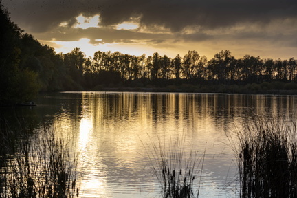 Réserve Naturelle Ornithologique de Ploegsteert (Belgique) : coucher de soleil