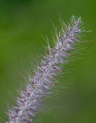 2J8A5179