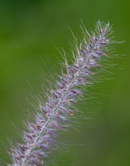 2J8A5179