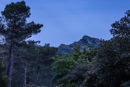 alpilles