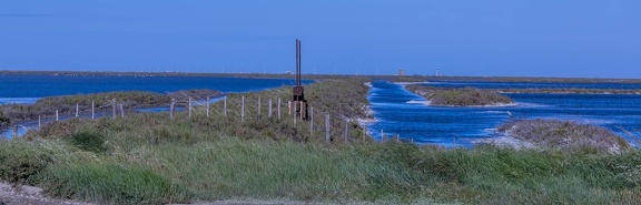 salins