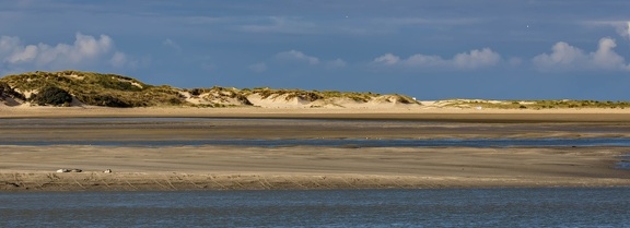 dunes 