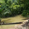 Mentawai : l'eau de la rivière est remontée. les 'ponpons' sont au pied de la maison
