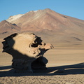 Bolivie : desert de Siloli - arbre de pierre