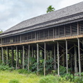 Putussibau - tribu Taman - maison longue