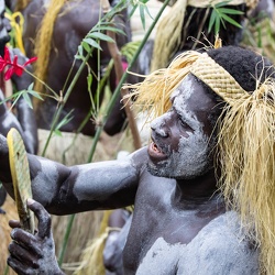 Bougainville : bamboo band