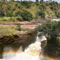 ouganda : parc Murchison - chutes Kabarega 